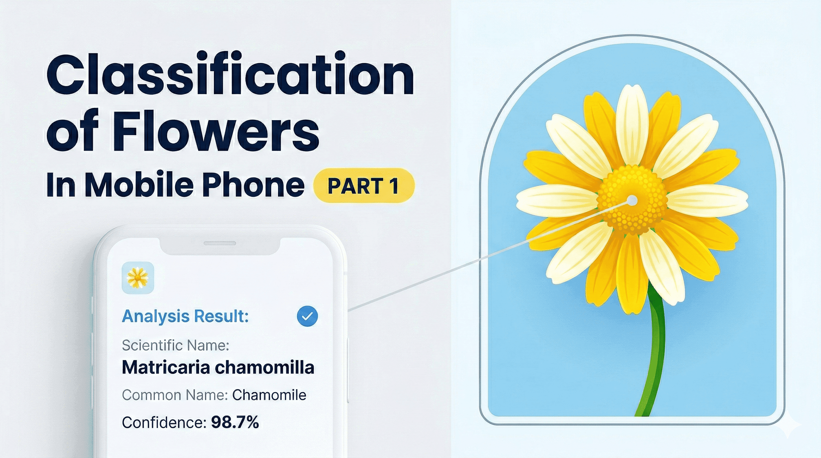 Classification of Flowers In Mobile Phone ( PART 1)