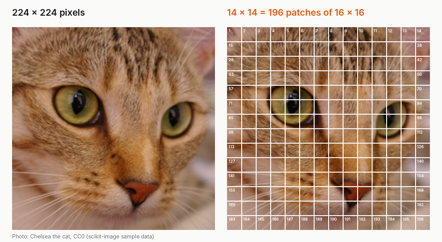 An Image Is Worth 16×16 Words: How AI Actually Sees Your Photos (and What Each One Costs)